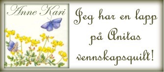 Anitas vennskapsquilt